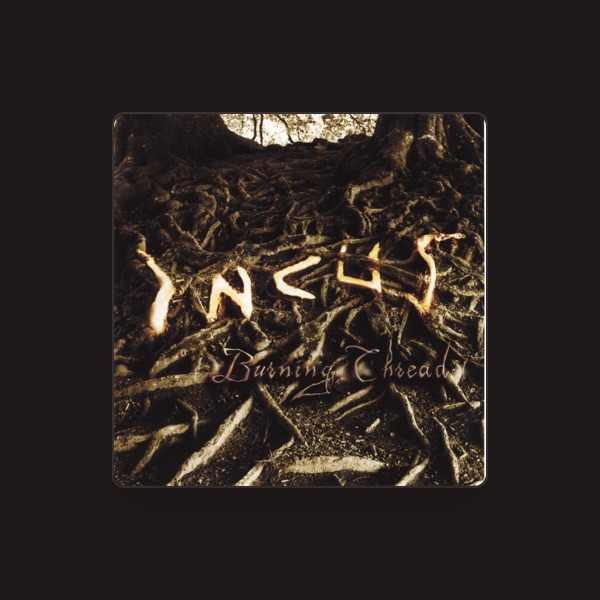Incus's avatar