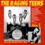 The Raging Teens Vol. 2