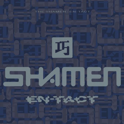 Art for Move Any Mountain by The Shamen