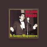 Nelson Pinedo