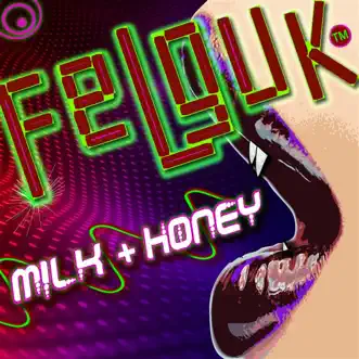 Milk & Honey (Felguk Mix) [Felguk Mix] by Felguk & Soundpusher song reviws