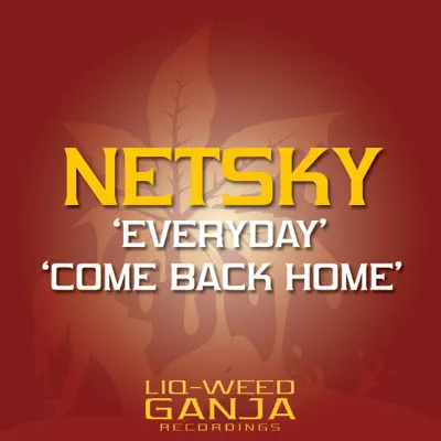 Everyday / Come Back Home - Netsky