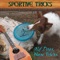 Another Irish Drinking Song - Sportive Tricks lyrics