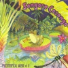 Songorocosongo - Se Siente Bien