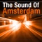 Tiga (Radio Edit) - Harry Lemon lyrics