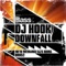 Downfall (Freerange DJs Remix) - DJ Hook lyrics