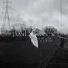 Wayfaring Stranger (Burial mix)