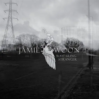 Слушать: Jamie Woon — Wayfaring Stranger - EP