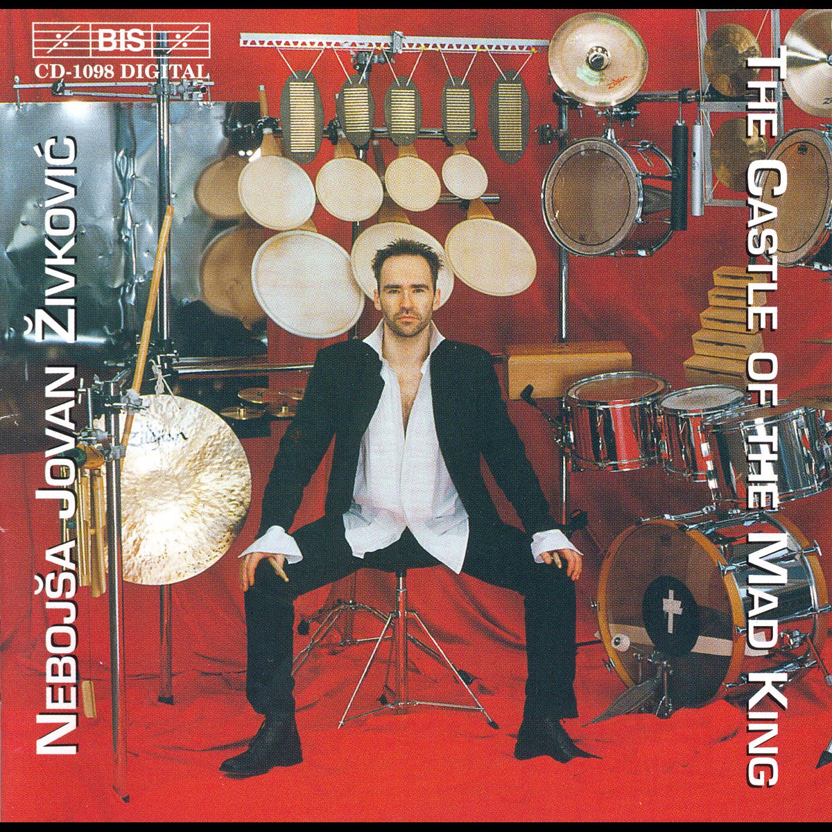 ‎Zivkovic the Castle of the Mad King Album by Nebojsa Jovan Zivkovic