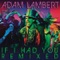 If I Had You (Dangerous Muse Remix) - Adam Lambert lyrics
