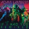 If I Had You - Adam Lambert lyrics