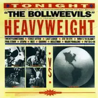 Fence Sitter — The Bollweevils