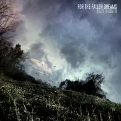 Back Burner - For The Fallen Dreams