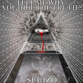 Tell Me Why You Hide the Truth? song art