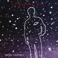 Shanghai Ply - Peter Harvey