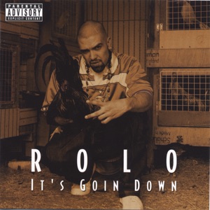 Its Goin Down (feat. Lil Jon and the Eastsideboys)