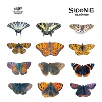 El Bosque - Single - Sidonie