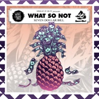 7 Dollar Bill EP - What So Not