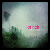 Cover art for L'or noir by Arthur H & Nicolas Repac