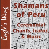 Shamans of Peru artwork
