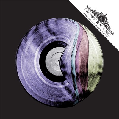 Compost Black Label Series Vol. 4 (mixed by SHOW-B)