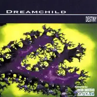 Destiny (Radio Cut) — Dreamchild