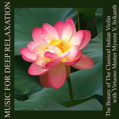 The Beauty of the Classical Indian Violin With Virtuoso Master Mysore V. Srikanth