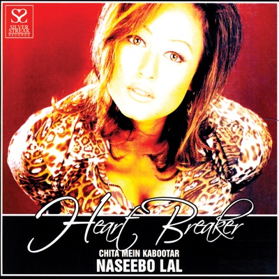 Naseebo Lal - Mein Gandal Nalu Gorri 