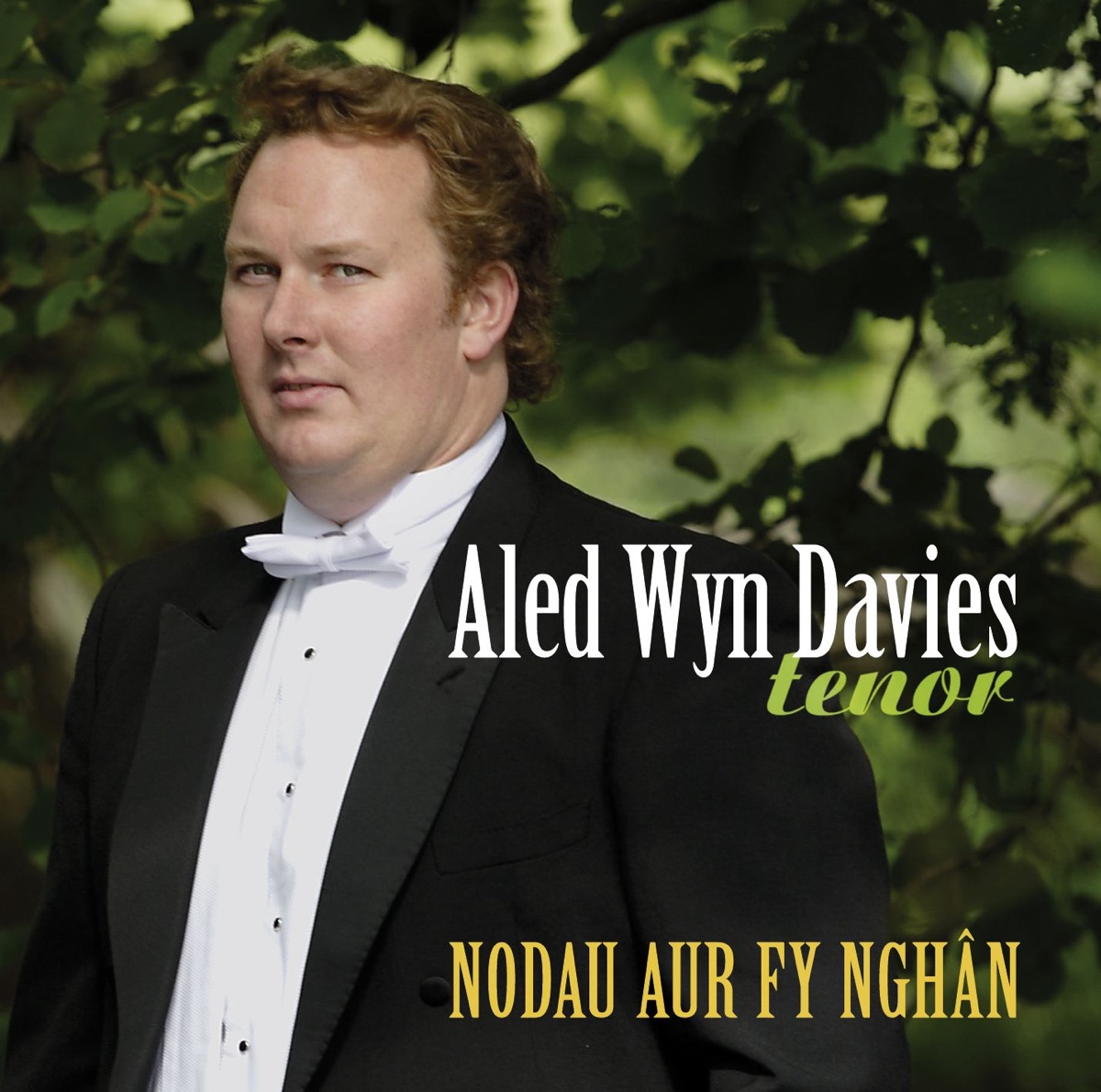 Nodau Aur Fy Nghân - Album by Aled Wyn Davies - Apple Music