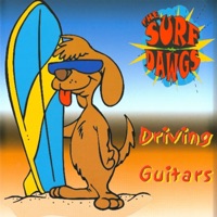 The Surf Dawgs - Surf Rider (Theme from "Pulp Fiction")