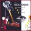 The Bendegos