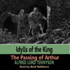 Idylls of the Kings - The Passing of Arthur - Alfred Tennyson