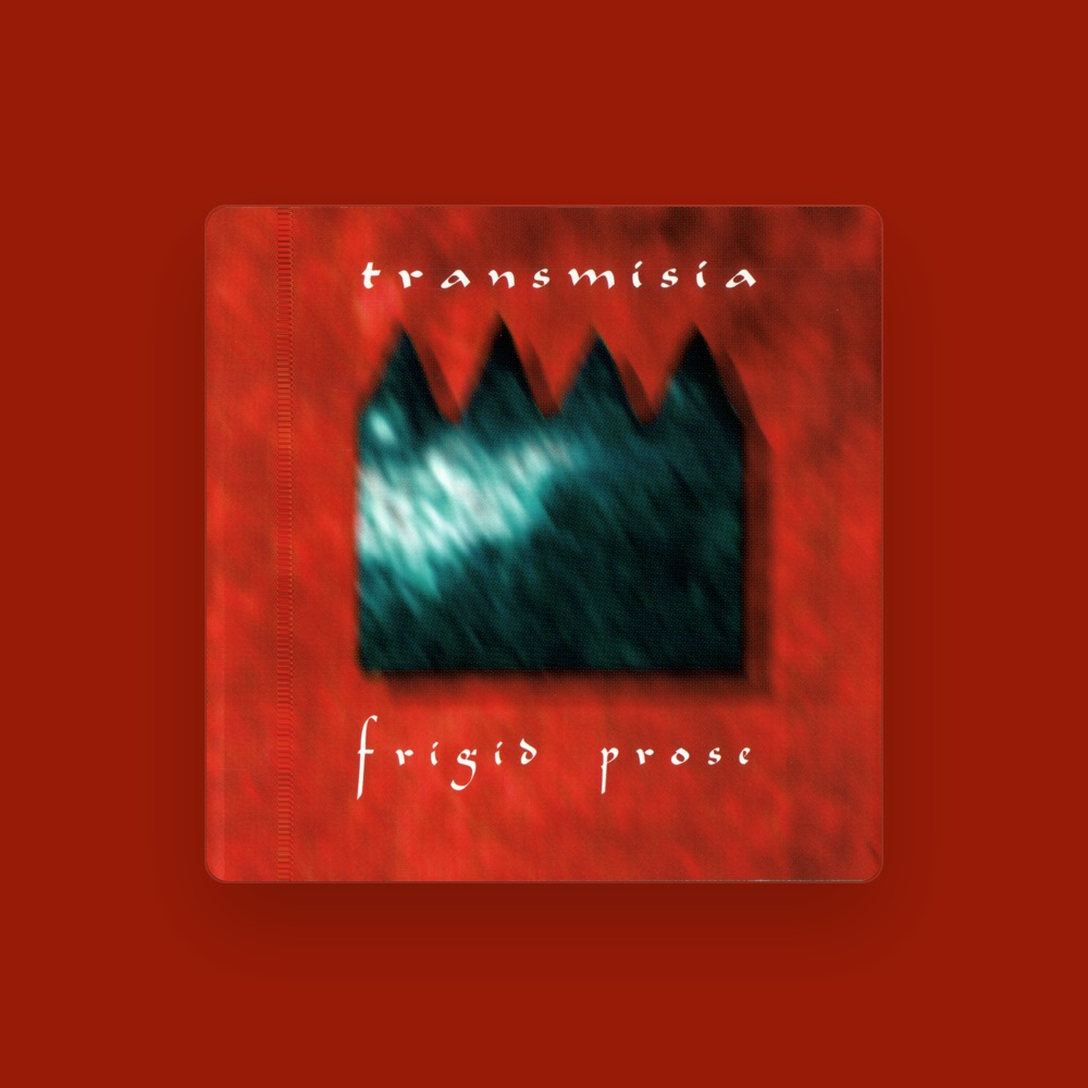 TRANSmisia - Electronic artist