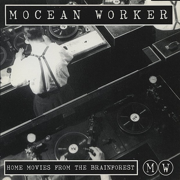 Home Movies From the Brainforest