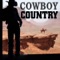 Streets Of Laredo (Cowboy Mix) - The Trailenders lyrics