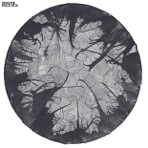 Hold / Sick - Single
