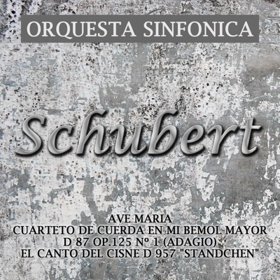 Orquesta Sinfónica
