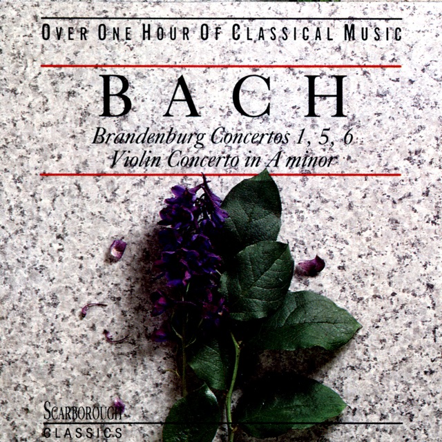 Brandenburg Concerto No 1 In F Major, BWV 1046: Allegro
