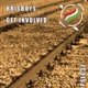 Get Involved Single
