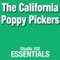 Love Can Make You Happy - The California Poppy Pickers lyrics