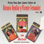 Pistas Para Que Cantes Exitos de Antonio Aguilar y Vicente Fernandez Vol. 2