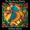The Handsome Family - The Loneliness of Magnets