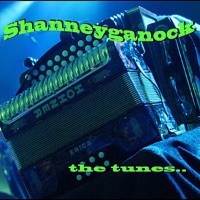 The Tunes by Shanneyganock on Apple Music