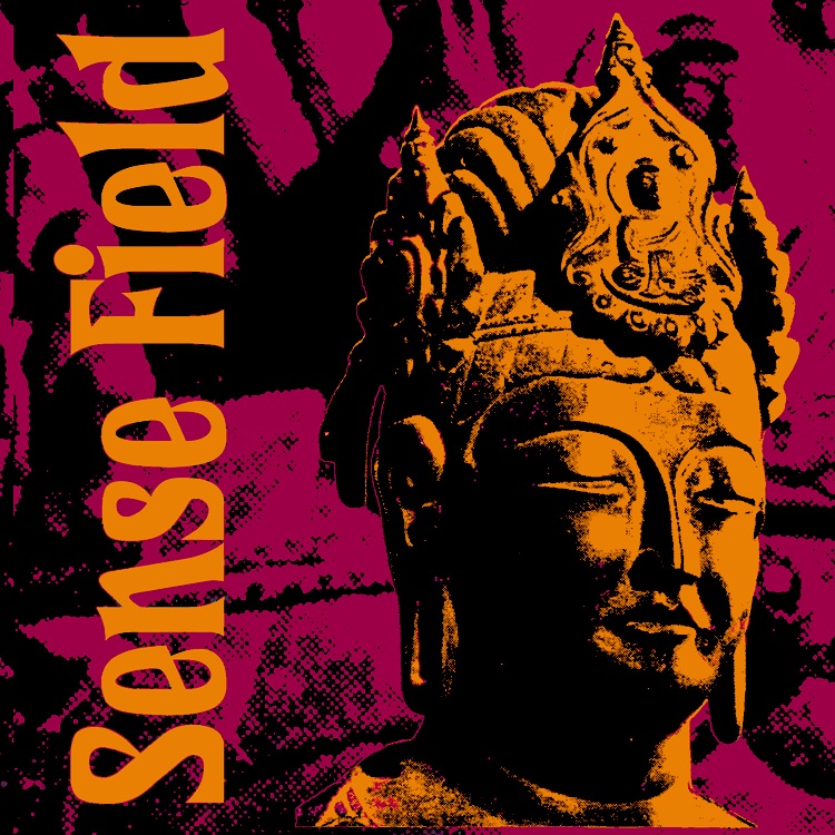 Sense Field