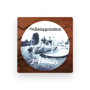 the Daisygrinders