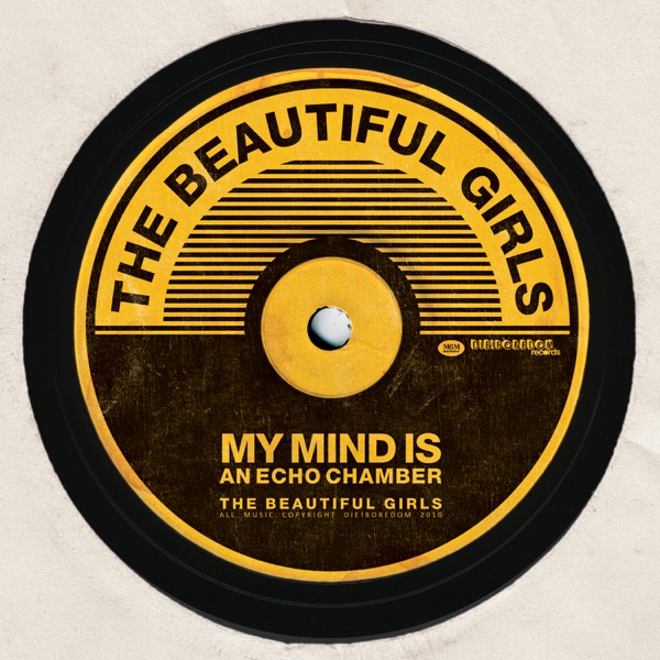 My Mind Is an Echo Chamber (Live At The Enmore) - Single cover