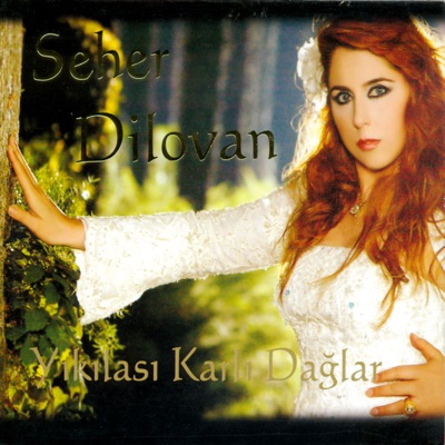 Seher Dilovan - Daye