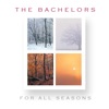 The Bachelors - Can I Trust You