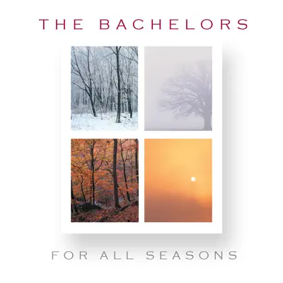 For All Seasons - The Bachelors