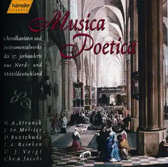 Sonata In G Minor: I. Adagio by Musica Poetica Freiburg & Hans Bergmann song reviws